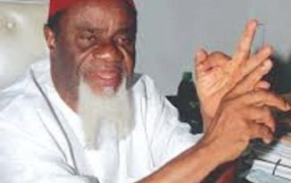 I blame the Igbo and Yoruba for Nigeria’s failure-Ezeife