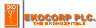Ekocorp Plc: Not a bad year