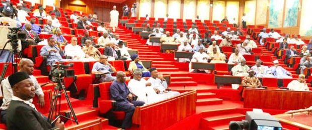 Cardoso, CBN Deputy Govs Nominees Face Senators for Screening 