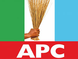 BREAKING:  Bayelsa APC deputy guber candidate disqualified