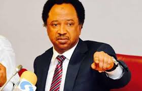 Ignore governors’ petition on NFIU, Shehu Sani tells Buhari