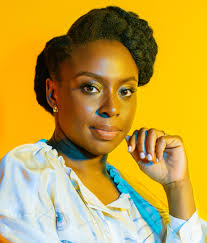 Chimamanda Adichie Wins Humanitarian Award on hunger