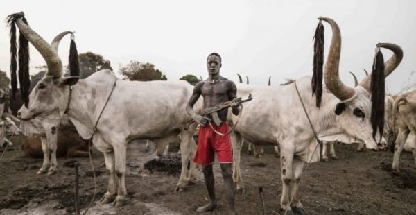 Kidnapping saga by Fulani Herdsmen all over Nigeria