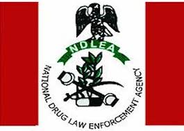 NDLEA arrests intercepts 1.115 tons of Cannabis concealed in Dangote truck