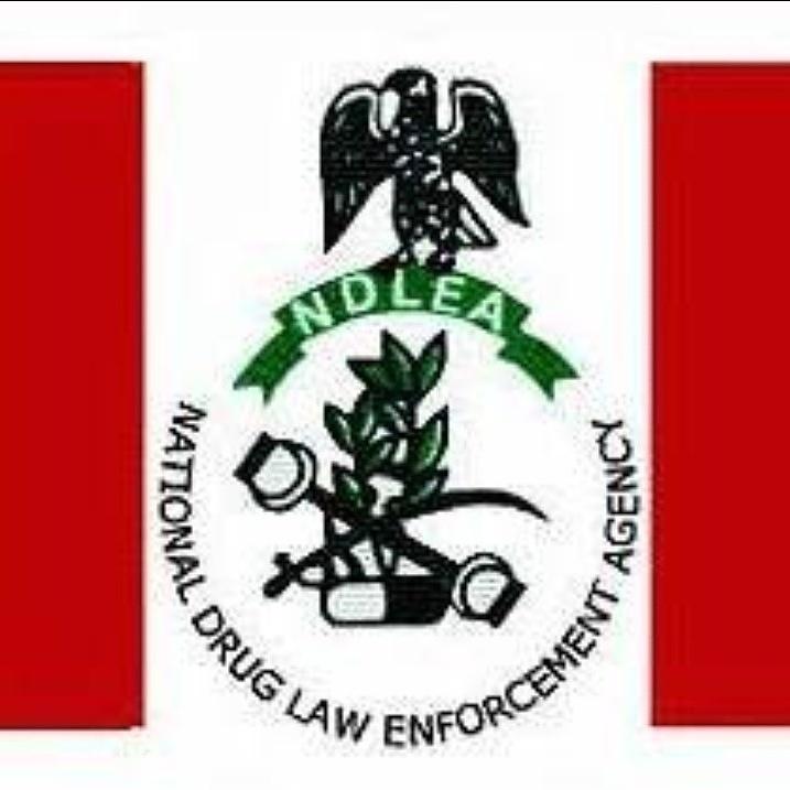 President Buhari appoints new NDLEA secretary