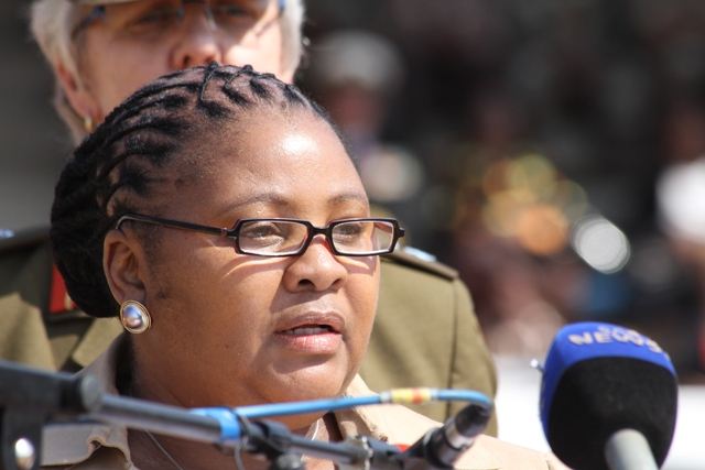 We can’t stop xenophobic attacks, S/African defence minister says