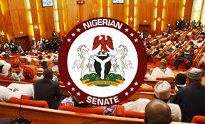 Senate probes invasion of court by DSS