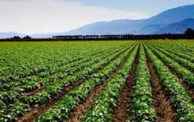 Agribusiness show to upscale W/Africa’s agro-commodity sector