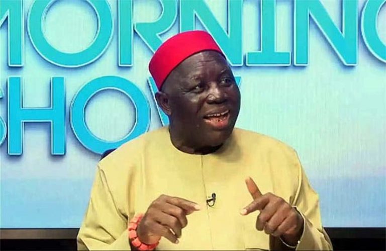 Ohanaeze leadership: I’ll assemble talents, experts to defend Igbo destiny – Obiozor