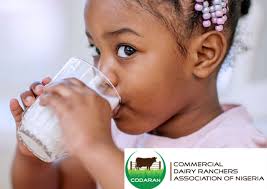 Nigeria Lags Behind in Global Milk Production, Spends Over $1.5bn On Milk Import Annually 