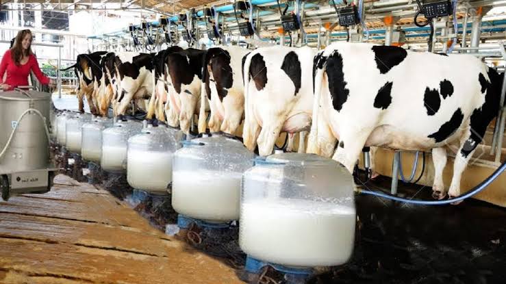 Nigeria has 1.1m mt milk supply deficit 