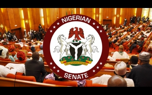 Senate Raises the Alarm Over Absence  of Substantive Auditor-General 