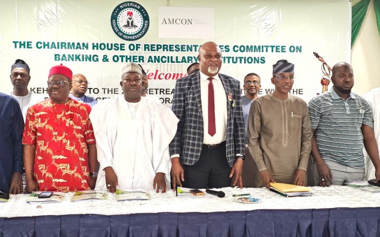Debt Recovery: National Assembly will Work with AMCON to Promote Financial Stability – Eze 
