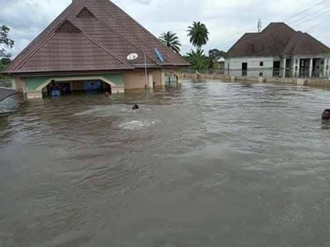 Govt Abandoned Victims of 2022 Flood Disaster  – NBS