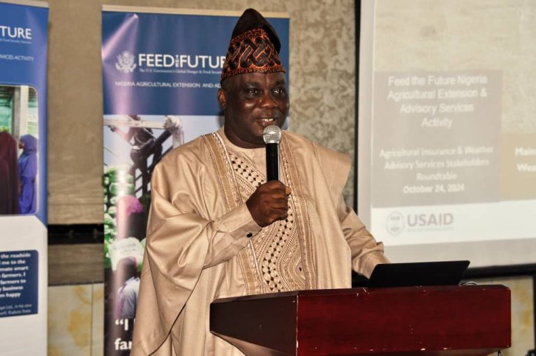 Climate Change: Agric Minister Calls for Agricultural Insurance, Weather Advisory Desk