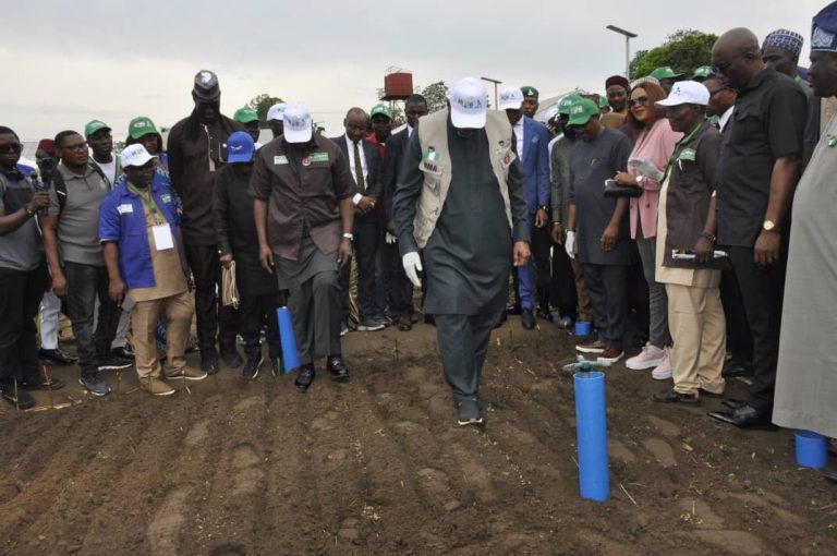 FG Borrows $134m to Boost Seed, Grains Production 