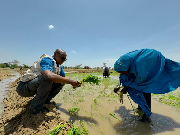 Germany, UNICEF-WFP Move to Check Hunger  in Northern Nigeria